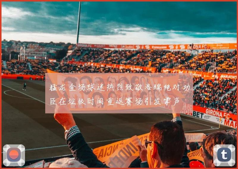 猛龙全场球迷热烈致敬洛瑞绝对功臣在垃圾时间重返赛场引发掌声