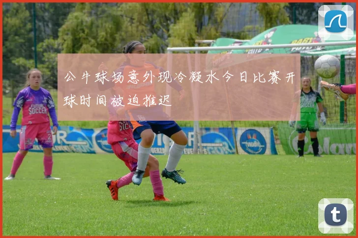 公牛球场意外现冷凝水今日比赛开球时间被迫推迟